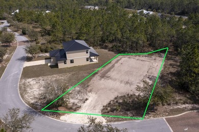 Step into your dream home in the highly desirable Shallow Reed - photo 2