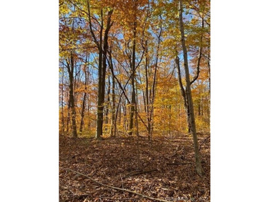 Bucolic LITCHFIELD HILLS 295.1 acres with 10+/- acre reservoir - photo 11