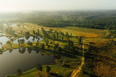 This 484+/- acre turnkey estate in Jones County is a rare find - photo 12
