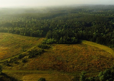 This 484+/- acre turnkey estate in Jones County is a rare find - photo 13