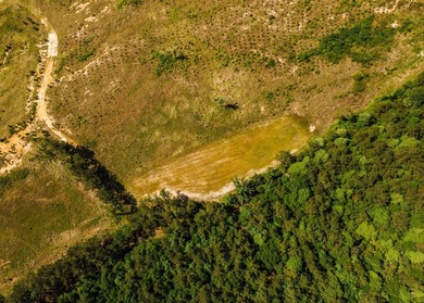 This 484+/- acre turnkey estate in Jones County is a rare find - photo 19