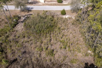 Step into this beautifully designed new construction home - photo 10