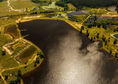 This 484+/- acre turnkey estate in Jones County is a rare find - photo 23