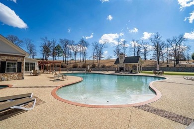 Come see this beautiful, move-in ready, one level home in the - photo 26
