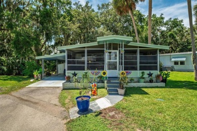 Lake Home For Sale in Eustis, Florida