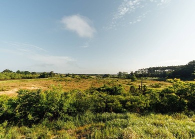 This 484+/- acre turnkey estate in Jones County is a rare find - photo 48