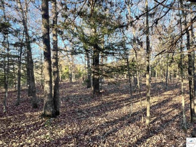 Lake Acreage For Sale in Warsaw, Missouri