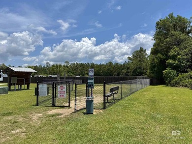Owner Financing Available! Lot 28 (Pull-Through) in Whispering - photo 8