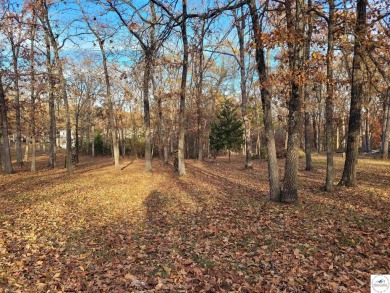 Lake Lot For Sale in Warsaw, Missouri