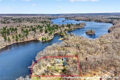 1 beautiful home + 3 cabins!! This one-of-a-kind property - photo 6