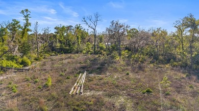 Welcome to your slice of paradise in beautiful Keaton Beach - photo 7