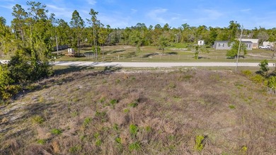 Welcome to your slice of paradise in beautiful Keaton Beach - photo 8