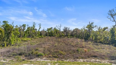 Welcome to your slice of paradise in beautiful Keaton Beach - photo 9