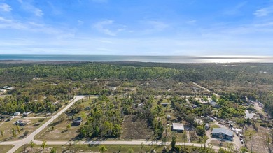 Welcome to your slice of paradise in beautiful Keaton Beach - photo 10