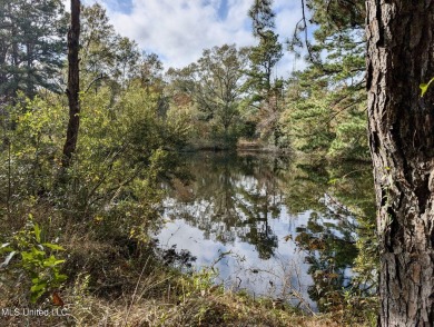 Lake Acreage For Sale in Picayune, Mississippi