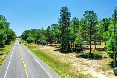 This opportunity includes an assemblage of (3) contiguous - photo 3