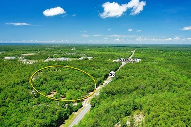 This opportunity includes an assemblage of (3) contiguous - photo 4