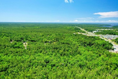 This opportunity includes an assemblage of (3) contiguous - photo 5