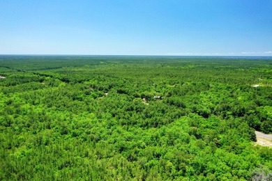 This opportunity includes an assemblage of (3) contiguous - photo 6