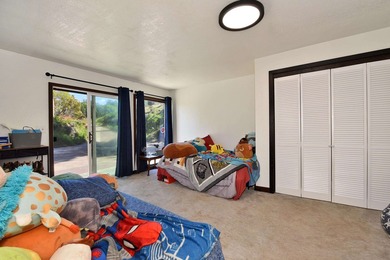 This Kula property consists of THREE separate homes on 2.736 - photo 15