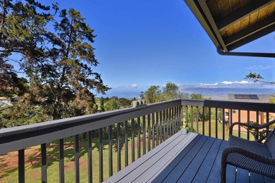 This Kula property consists of THREE separate homes on 2.736 - photo 28