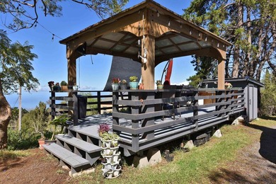 This Kula property consists of THREE separate homes on 2.736 - photo 29