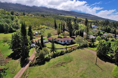 This Kula property consists of THREE separate homes on 2.736 - photo 33