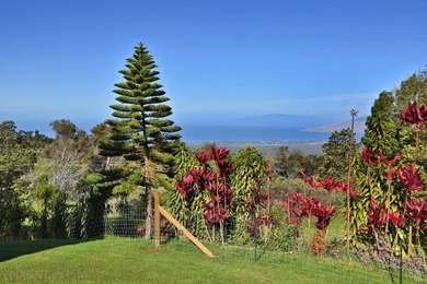 This Kula property consists of THREE separate homes on 2.736 - photo 43
