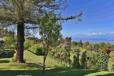 This Kula property consists of THREE separate homes on 2.736 - photo 44