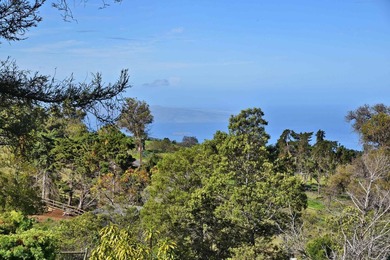 This Kula property consists of THREE separate homes on 2.736 - photo 45