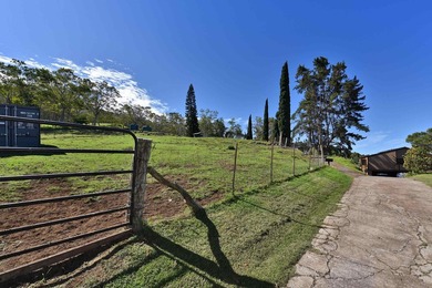 This Kula property consists of THREE separate homes on 2.736 - photo 47