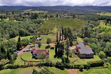 This Kula property consists of THREE separate homes on 2.736 - photo 50
