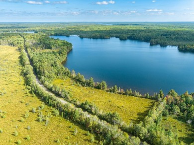 Middle Sugarbush Lakes Parcel - Lake Acreage For Sale in Lac du  Flambeau, Wisconsin