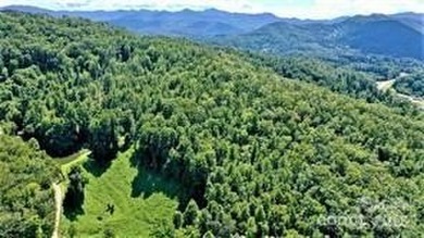 (private lake, pond, creek) Acreage For Sale in Sylva North Carolina