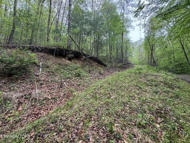 French Broad River Acreage For Sale in Del Rio Tennessee