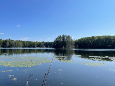 Coon Lake Acreage For Sale in Rhinelander Wisconsin