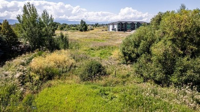 Fantastic development opportunity with multiple options - photo 15
