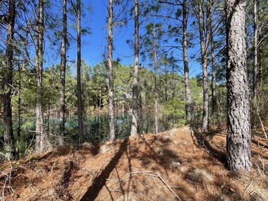 $6,000.00 in seller concessions being offered from the builder - photo 38