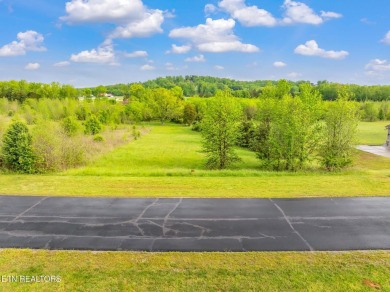 Lake Lot For Sale in Rockwood, Tennessee
