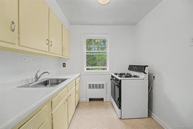 SPONSOR UNIT - NO BOARD APPROVAL, NO INCOME REQUIREMENT, NO - photo 10