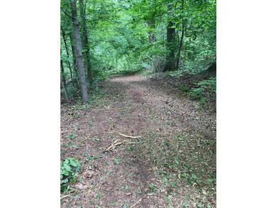 Tompkins Lake Acreage For Sale in Millington Tennessee