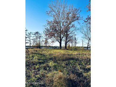 Here's your chance to own a piece on Lake Mary! There's a - photo 3