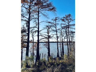 Here's your chance to own a piece on Lake Mary! There's a - photo 4
