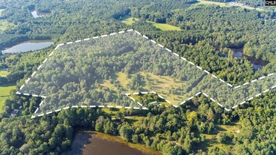 (private lake, pond, creek) Acreage For Sale in Leesville South Carolina