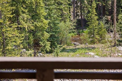 This immaculately maintained riverfront mountain residence is - photo 42