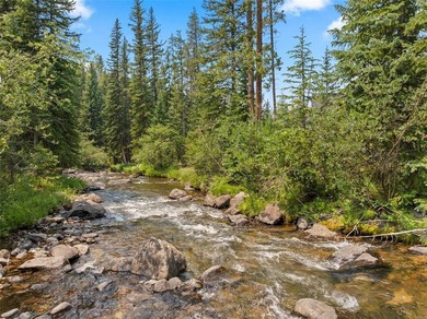This immaculately maintained riverfront mountain residence is - photo 50