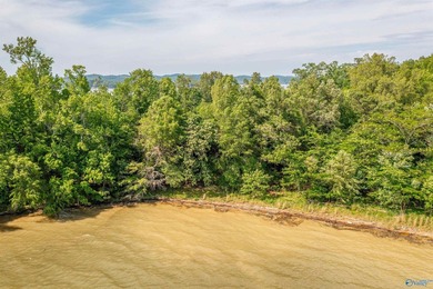 BRING ON THE LAKE TIME! Recreational Lot in Cedar Bluff Raw lot - photo 13