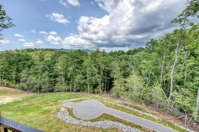 Welcome to mountain living at its finest in one of Murphy's most - photo 50