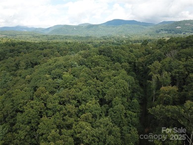 Osceola Lake Acreage For Sale in Hendersonville North Carolina