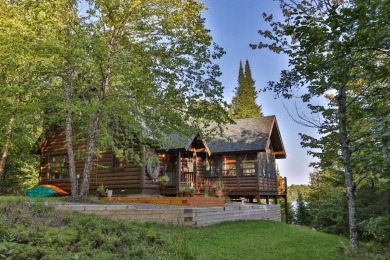 Twin Island Lake Home For Sale in Presque  Isle Wisconsin